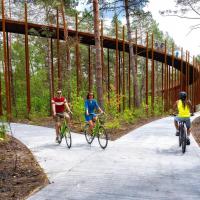 Fietsen door de bomen